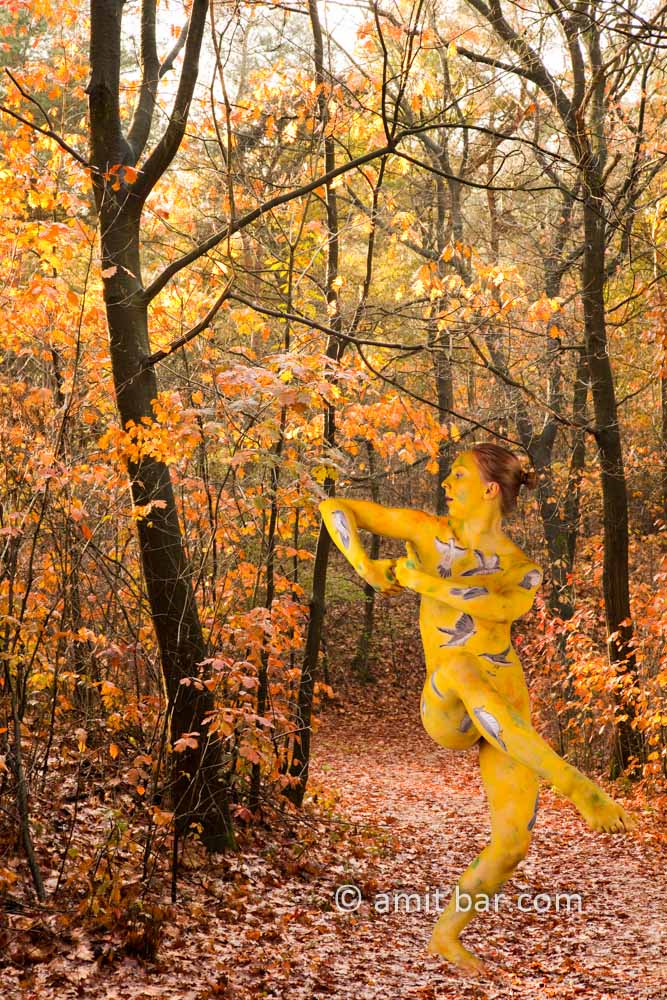 The Cuckoo IV: body-painted dancer as a cuckoo is dancing in the forest