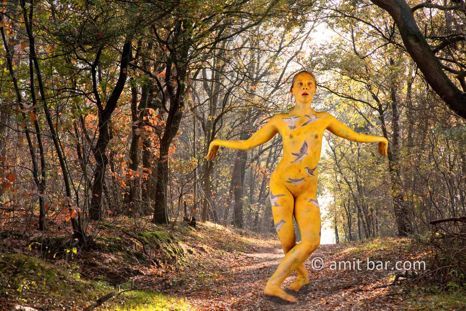 The Cuckoo VI: body-painted dancer as a cuckoo is dancing in the forest