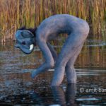 The elephant II: Body-painted model as an elephant