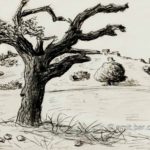 The old oak tree in charcoal