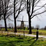 The windmill at Bronckhorst: The windmill at Bronckhorst