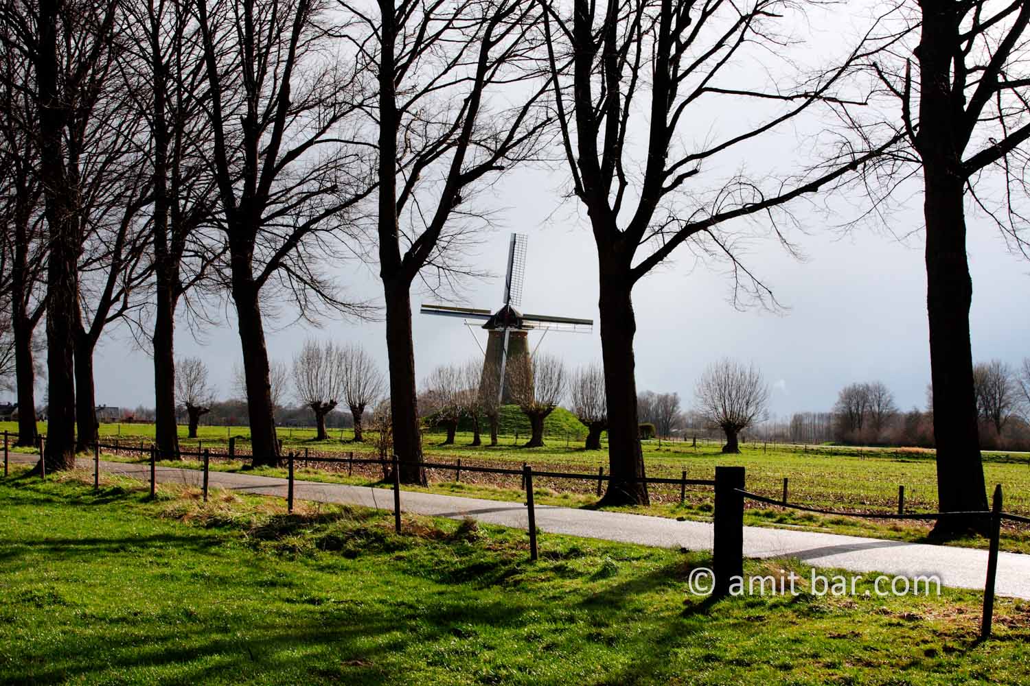 The windmill at Bronckhorst: The windmill at Bronckhorst