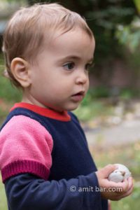 This little bird: A girl holding a bird toy in her hand