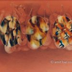 Trio: Photo-collage of nude model with a violin and pencil addition