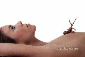 Walking leaf on woman's breast