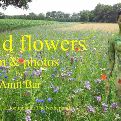 Amit Bar Art - Wild flowers