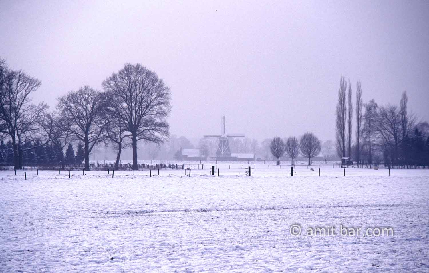 Windmill in snowy landscape: Benninkmolen windmill in winter, Doetinchem, The Netherlands