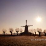 Windmill with willows: Windmill at Bronckhorst, The Netherlands