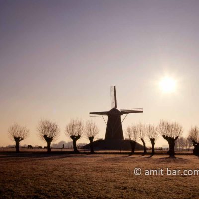 Windmill with willows