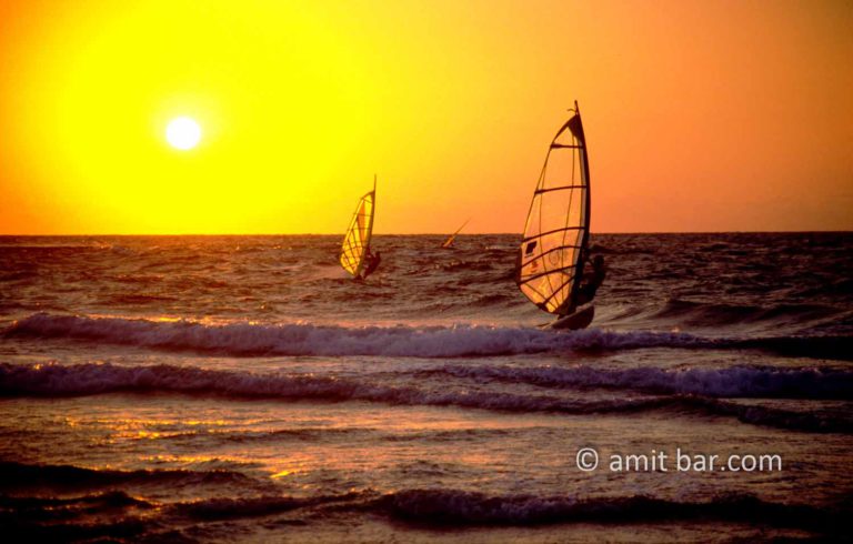 Windsurfers