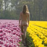 Yellow and purple: nude model walks in a tulip field