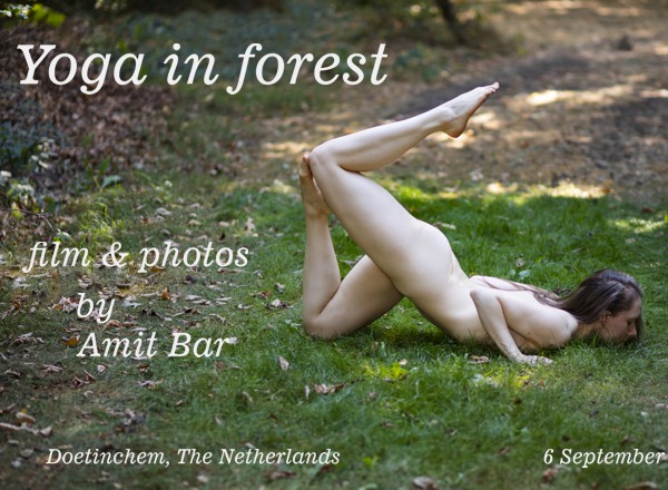 yoga in forest